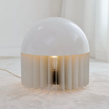 Lade das Bild in den Galerie-Viewer, Giancarlo Mattioli MT floor lamp for Sirrah - 1969
