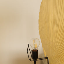 Lade das Bild in den Galerie-Viewer, Ingo Maurer Uchiwa II Lamp
